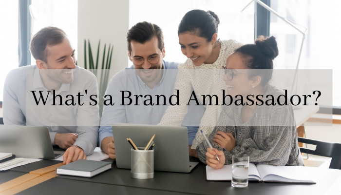 creating a brand ambassador program